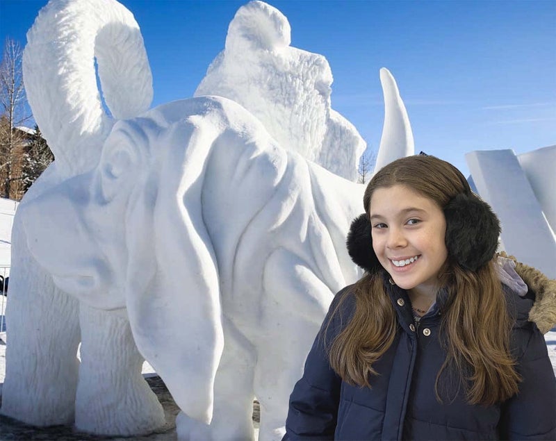 N'Ice Caps Kids Earmuffs Girls Winter Warm Adjustable Soft Plush Padded (Black, One Size Fits All) - Image 3